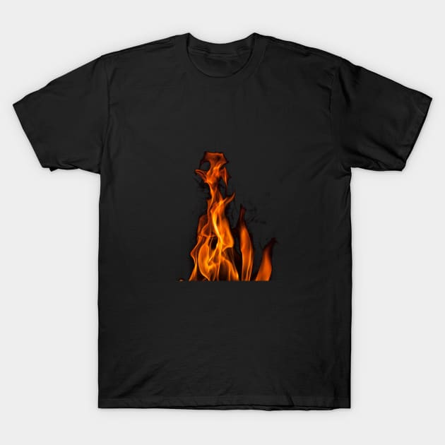 Flame T-Shirt by Designuper